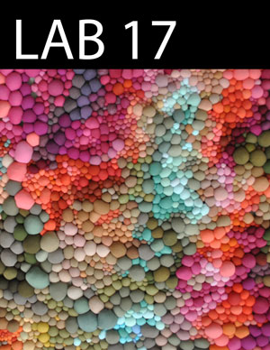 LAB issue 17 cover