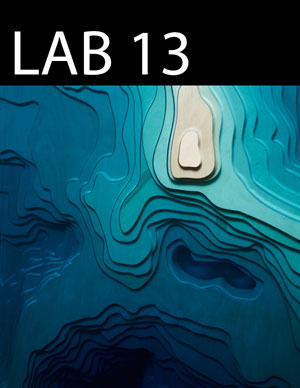 LAB issue 13 cover