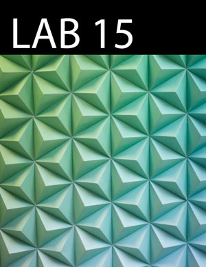 LAB issue 15 cover