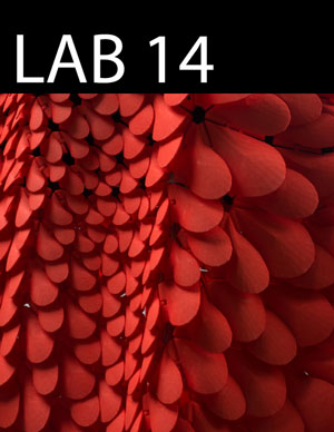 LAB issue 14 cover