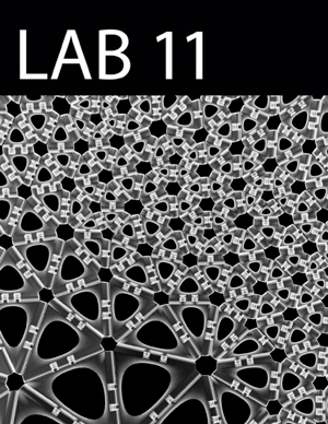 LAB issue 11 cover